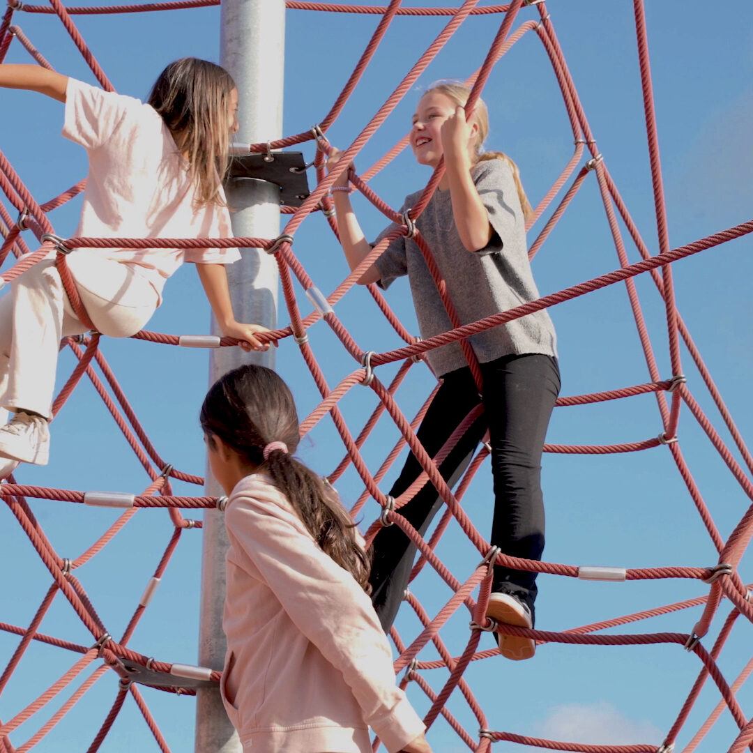 Varför har vi rast?